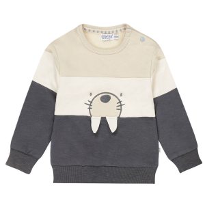 Dirkje jongens baby sweattruitje walrus